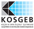 Kosgeb Samsun